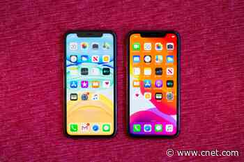 iPhone 11 vs. iPhone XR: Find out which phone is the better value     - CNET