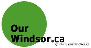 Two Windsor-Essex mosquito pools test positive for West Nile Virus - OurWindsor.ca