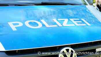 79-jähriger Radfahrer wird in Wolfsburg überholt und stürzt - Wolfsburger Nachrichten