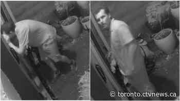Toronto police searching for suspect in downtown break-and-enter investigation - CTV Toronto