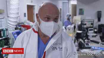 Meet the 'Covid Hunter' of Houston - BBC News