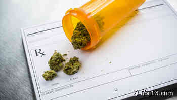 'First of its kind' temporary medical marijuana sites open in Houston area - KTRK-TV