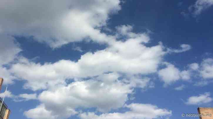 Was vom Tage übrig blieb: Päpstliches Phishing, kochende KI und leakender Luigi