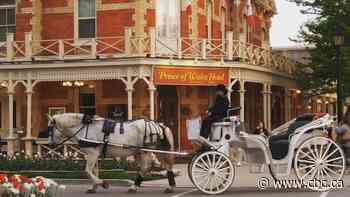 Niagara police losing patience with escalating three-year feud over horse-drawn carriages