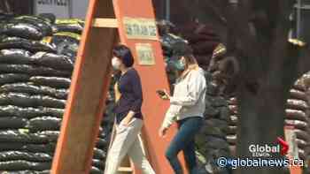 Edmonton city council debating  mandatory masks in all indoor public spaces