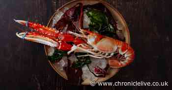 Double delight as Northumberland restaurant and B&B are shortlisted for awards