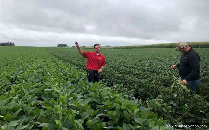 Bayer sends private investigator to U.S. farm, appeals weed-killer case