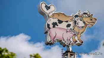 Wird sich die Fleischindustrie nach Tönnies wirklich ändern?