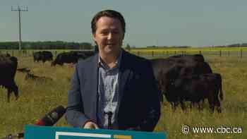 Alberta to allow direct farm-to-consumer meat sales under new rules