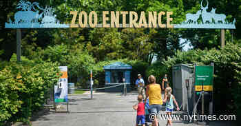 Racist Incident From Bronx Zoo’s Past Draws Apology