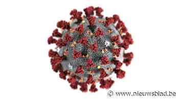 Alle evenementen afgelast tot 31 augustus - Het Nieuwsblad