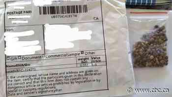 CFIA investigating mysterious shipments of seeds landing in mailboxes