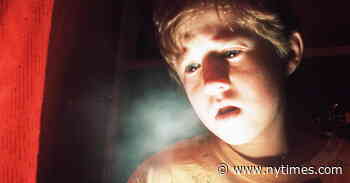 The World’s Greatest Directors Have Their Own Streaming Lists