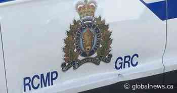 Alberta man facing charges after B.C. car stolen, dog dragged a block: police