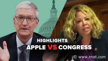 See Apple CEO Tim Cook's best moments before Congress video     - CNET