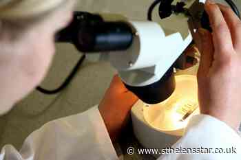 Scientists find new way to kill tuberculosis bacteria - St Helens Star