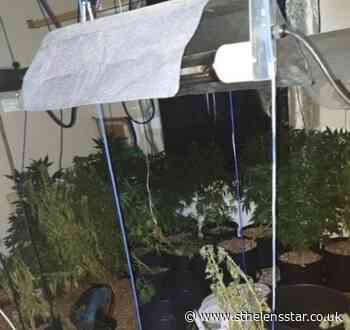 Cannabis farm discovered after raid in Prescot - St Helens Star