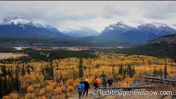 Alberta parks overrun by “tens of thousands of random campers” - Lethbridge News Now