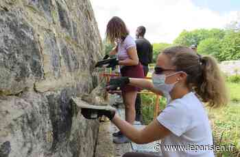 Marcoussis : le chantier de restauration du château de Montagu s’adapte à la crise sanitaire - Le Parisien
