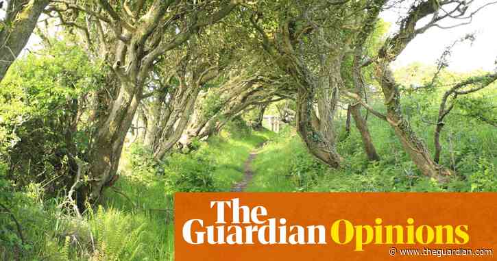 My idea of happiness? A strimmer and a bramble-choked path