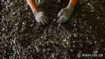 Canadian miner answers electric carmaker Elon Musk's call for zero-carbon nickel