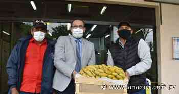 Cien productores de banana de San Pedro recibirán asistencia crediticia - La Nación