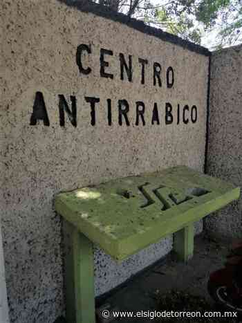 Anuncian campaña de esterilización en San Pedro - El Siglo de Torreón