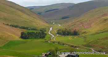 New scheme aims to attract tourists back to Northumberland