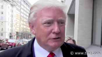 Donald Trump Asks to Delay Presidential Election