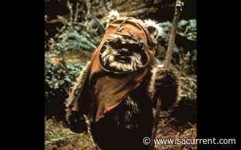 Performing Arts San Antonio to Stream Award-Winning Star Wars Parody Musical Wicket - San Antonio Current