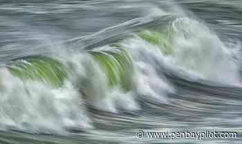 Cushing Arts in the Barn hosts open air pop-up art show - PenBayPilot.com