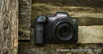 Canon EOS R6 review: A mirrorless to sway DSLR diehards