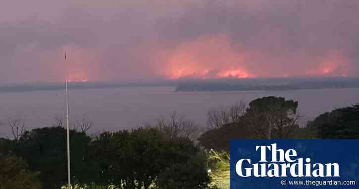 'Everything is burning': Argentina's delta fires rage out of control