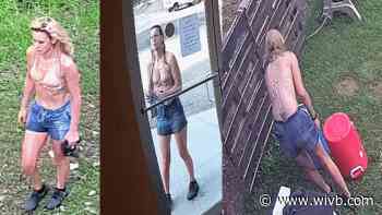 Detectives looking for suspect in Springville vehicle theft