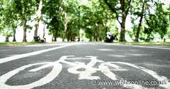 A row is brewing about a cycle path planned on a road leading to Gower