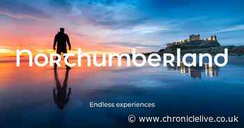 Effort launched to revive £1bn Northumberland tourism economy