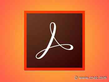 Adobe online PDF tools tap into Google's .new internet addresses     - CNET