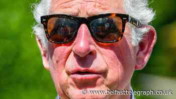 Prince of Wales donates to global coronavirus fundraising appeal