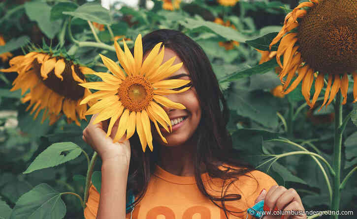 Mega Weekend – Music, Sunflowers, Outdoor Movies, and More!