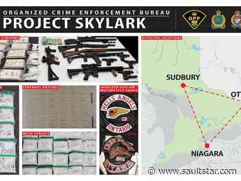 Hells Angels' member cops plea in Sudbury court