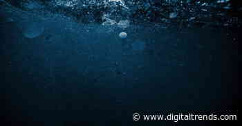 Scientists revive 100-million-year-old microbes, insist it’s totally safe