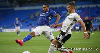 Cardiff City player ratings as Smithies and subs shine but others frustrate