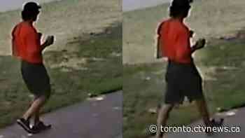 Another assault reported in Roncesvalles, police release images of suspect