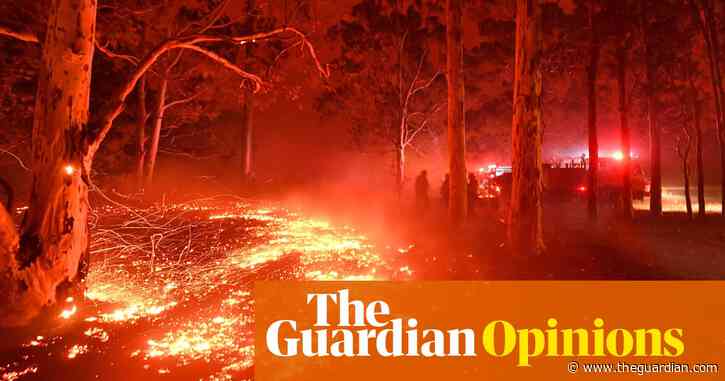 Australia's 'black summer' bushfires showed the impact of human-wrought change | Tim Flannery