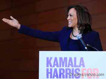 How Kamala Harris rose from California's 'top cop' to Joe Biden's potential vice presidential running mate