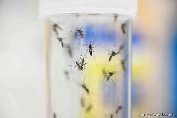 LA County Identifies First 2 Cases Of Human West Nile Virus This Season