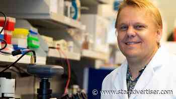 University of Hawaii medical school coronavirus vaccine sparks rapid immunity in mice - Honolulu Star-Advertiser