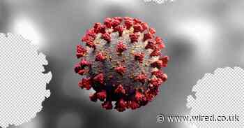 Here's everything we know about coronavirus immunity so far