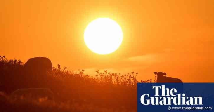 Climate crisis exerting increasing impact on UK, says Met Office