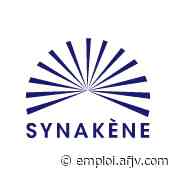 Offre d'emploi Alternant(e) Communication digitale ou stagiaire - Synakène (Juillet 2020) - Agence Française pour le Jeu Vidéo